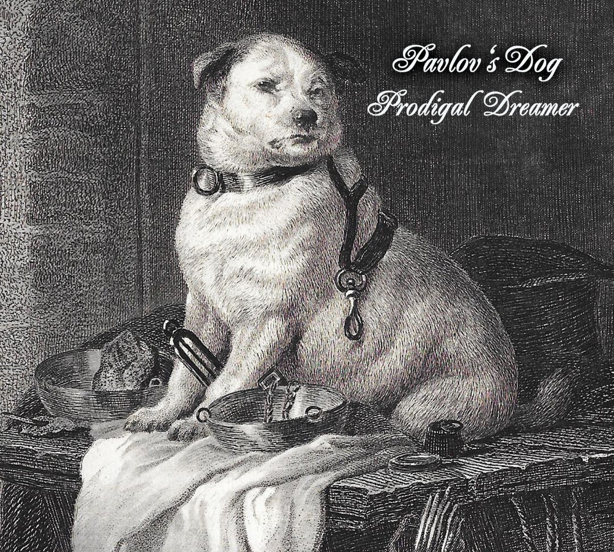 PRODIGAL DREAMER